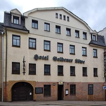 Hotel Goldener Loewe Zeulenroda-Triebes Extérieur photo
